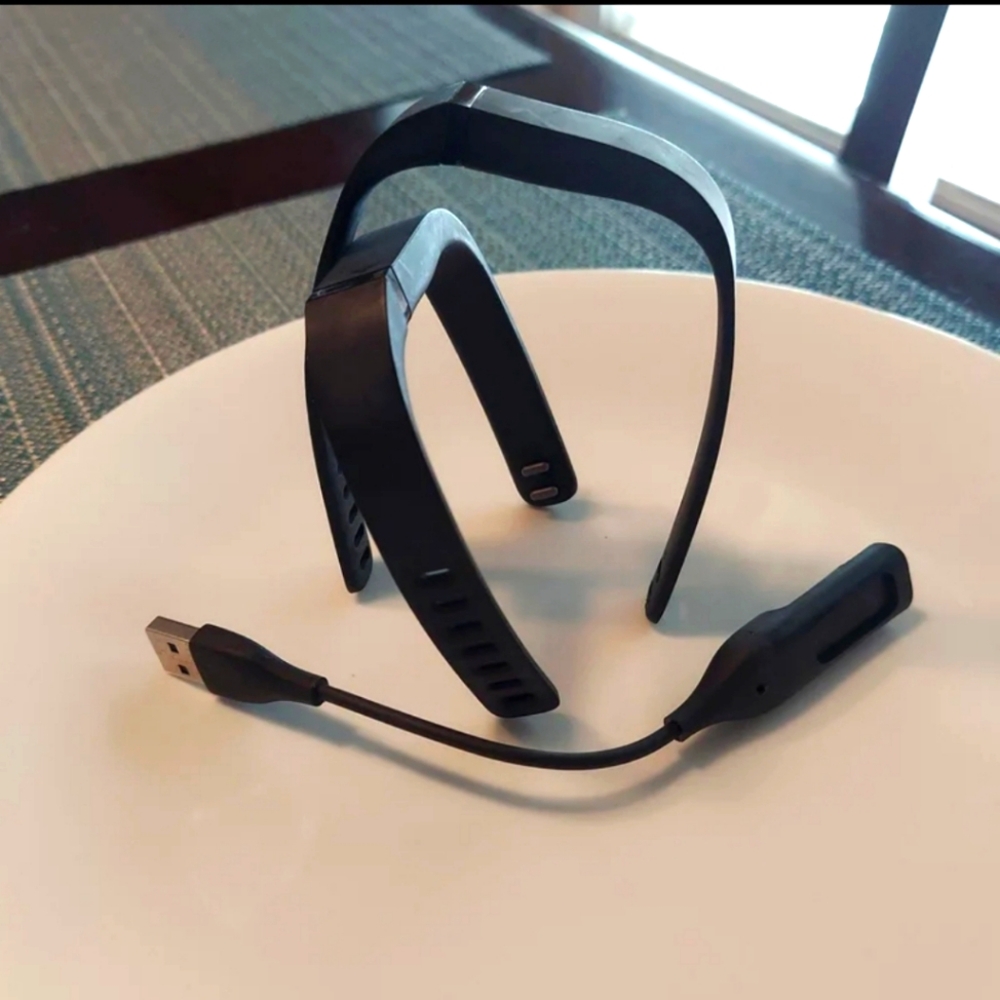 Fitbit bands bundle LG & SM with charger GUC